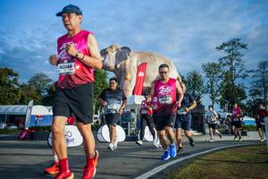 BIB: 
                            <button type="button" onclick="openModal(26541525)" class="btn btn-primary btn-sm float-right btn-popup" data-toggle="modal" data-target=".modal-high-quality">
                        <i class="fas fa-shopping-cart"></i> Add to Cart
                    </button>
                                            <button type="button" onclick="isThisMe(26541525, true)" class="btn btn-success btn-sm float-right btn-popup btn-isme hidden" data-toggle="tooltip" data-placement="bottom" title="นี่คือรูปของคุณใช่ไหม คลิกที่นี่เพื่อเอาเข้าอัลบั้ม">
                        <i class="fas fa-plus"></i> Add to album
                    </button>
                    <button type="button" onclick="isThisMe(26541525, false)" class="btn btn-warning btn-sm float-right btn-popup btn-isnotme hidden">
                        <i class="fas fa-ban"></i> Remove from album
                    </button>